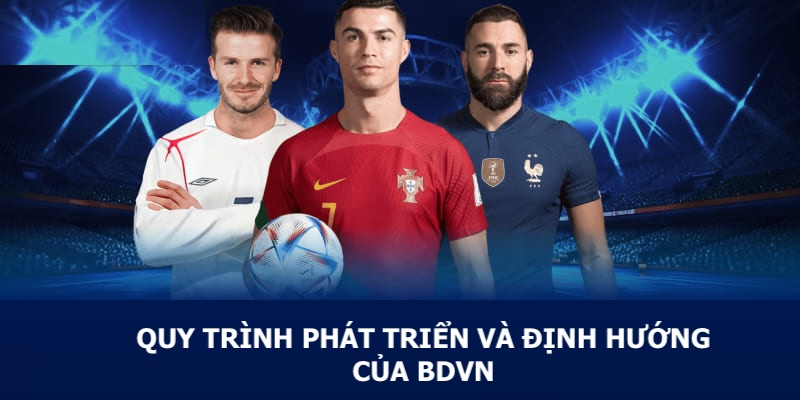 Quy trình phát triển và định hướng của BDVN